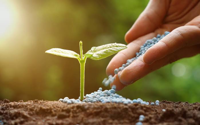 La distensión en Medio Oriente mejora las perspectivas de costos para el agro argentino