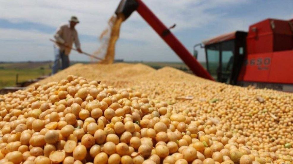 Termina la campaña de soja: generó exportaciones por U$S 21.000 millones