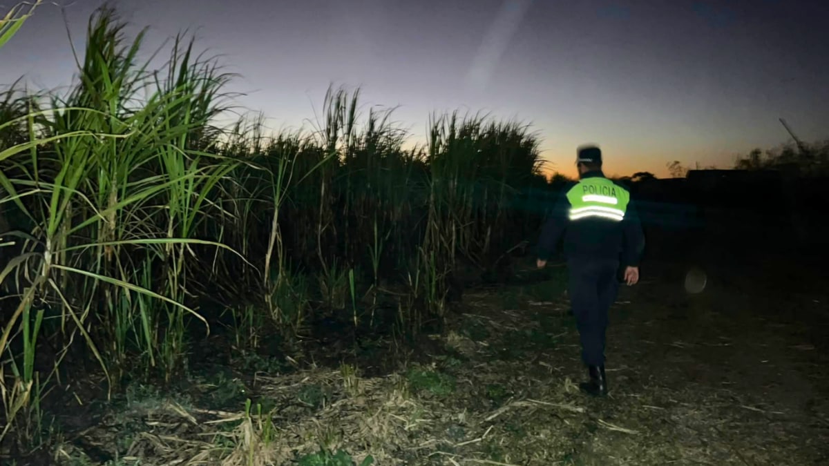 4.png 4.png