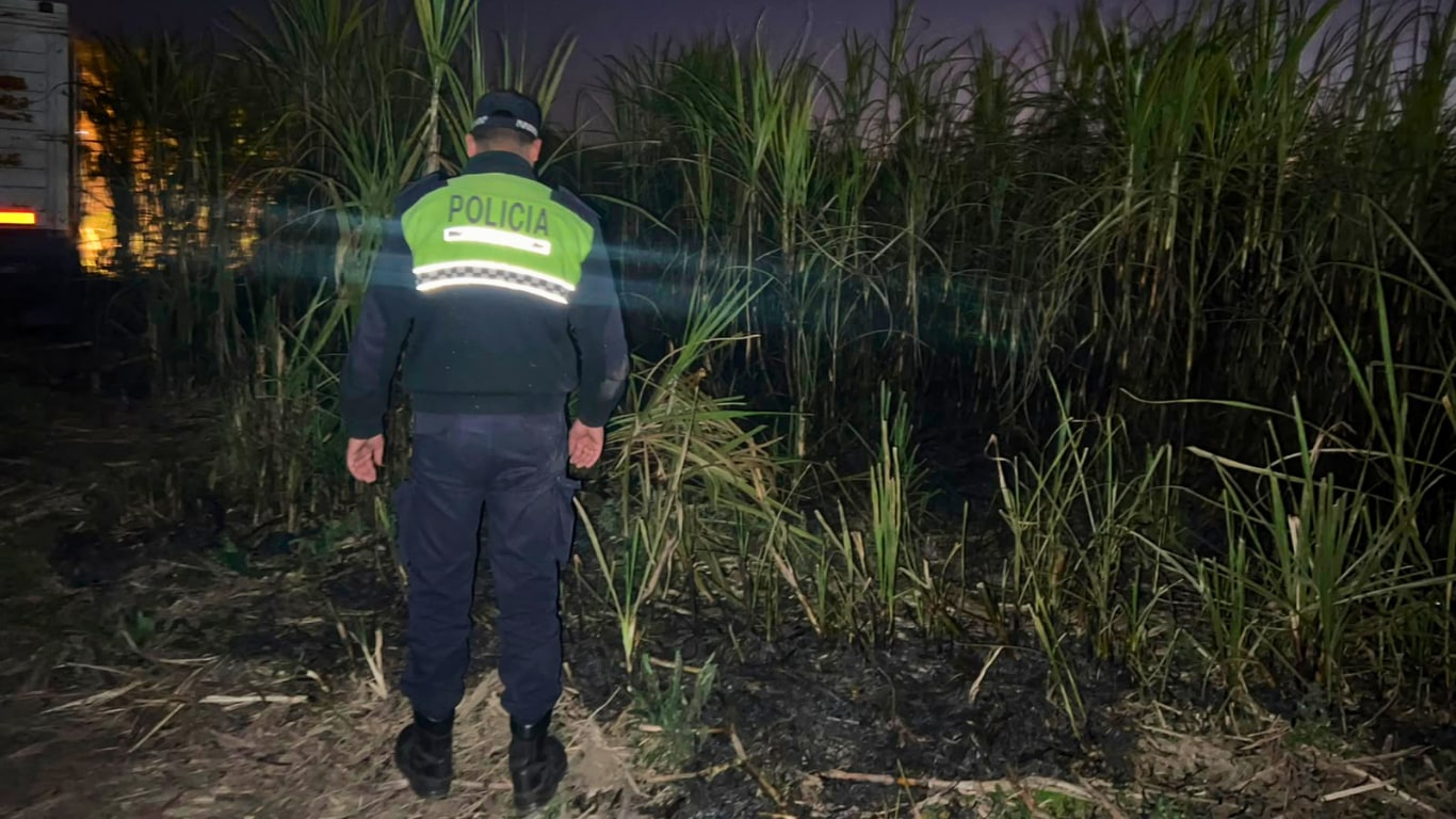 Investigan el incendio de un cañaveral en Delfín Gallo durante la madrugada