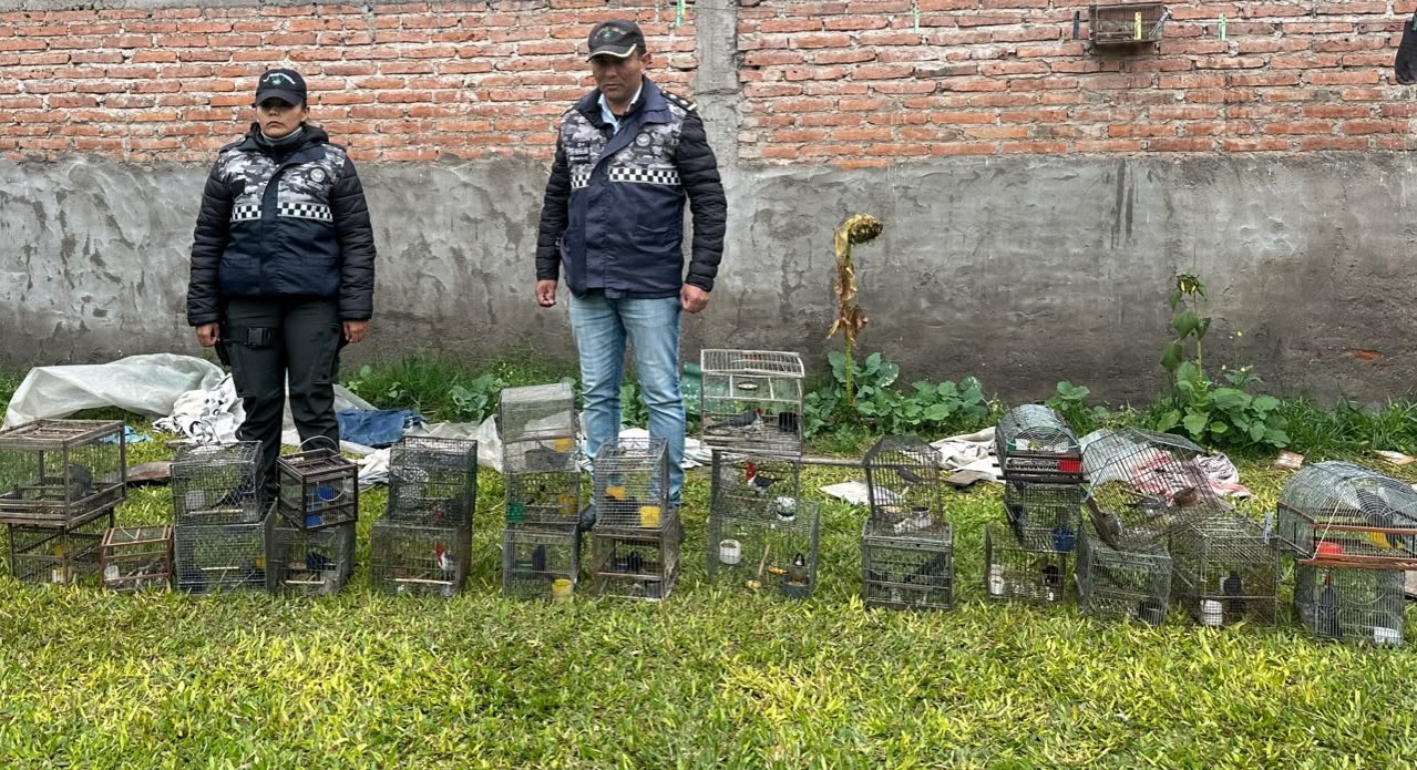 Secuestraron y liberaron a 28 aves silvestres que estaban atrapadas en jaulas