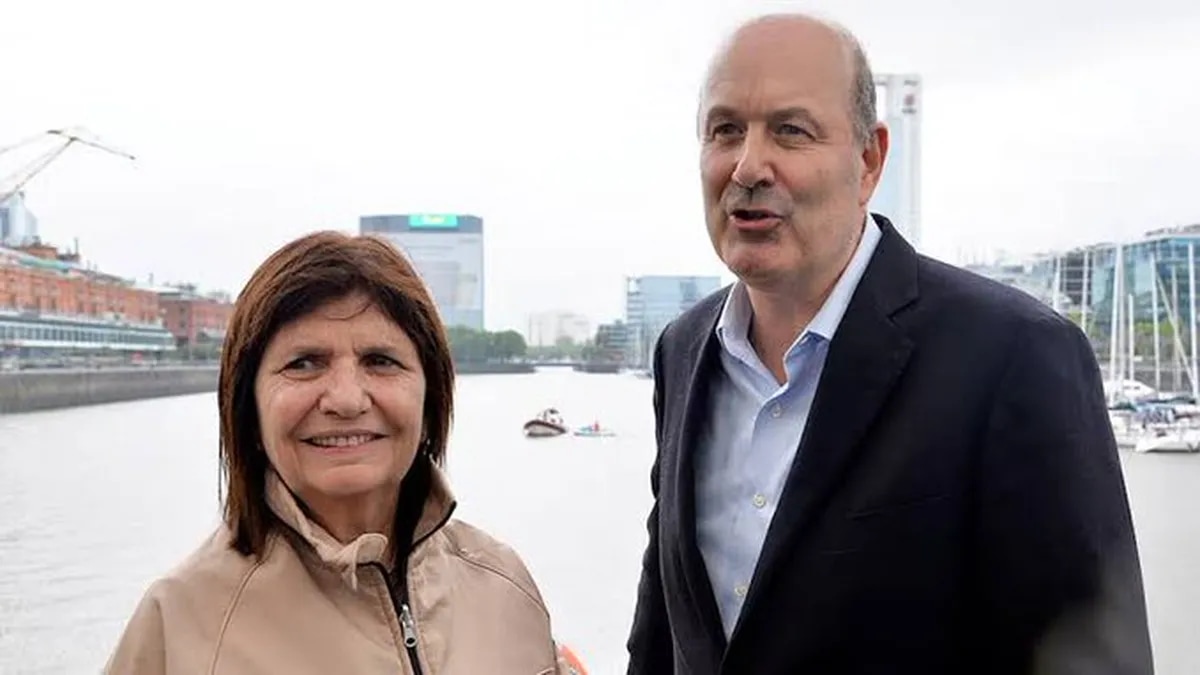 La senadora Bullrich y el ministro Sturzenegger intentan reactivar un proyecto clave