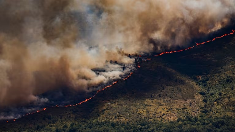 Incendios incontrolables en España: declararon la emergencia nacional y hay más de 20.000 evacuados