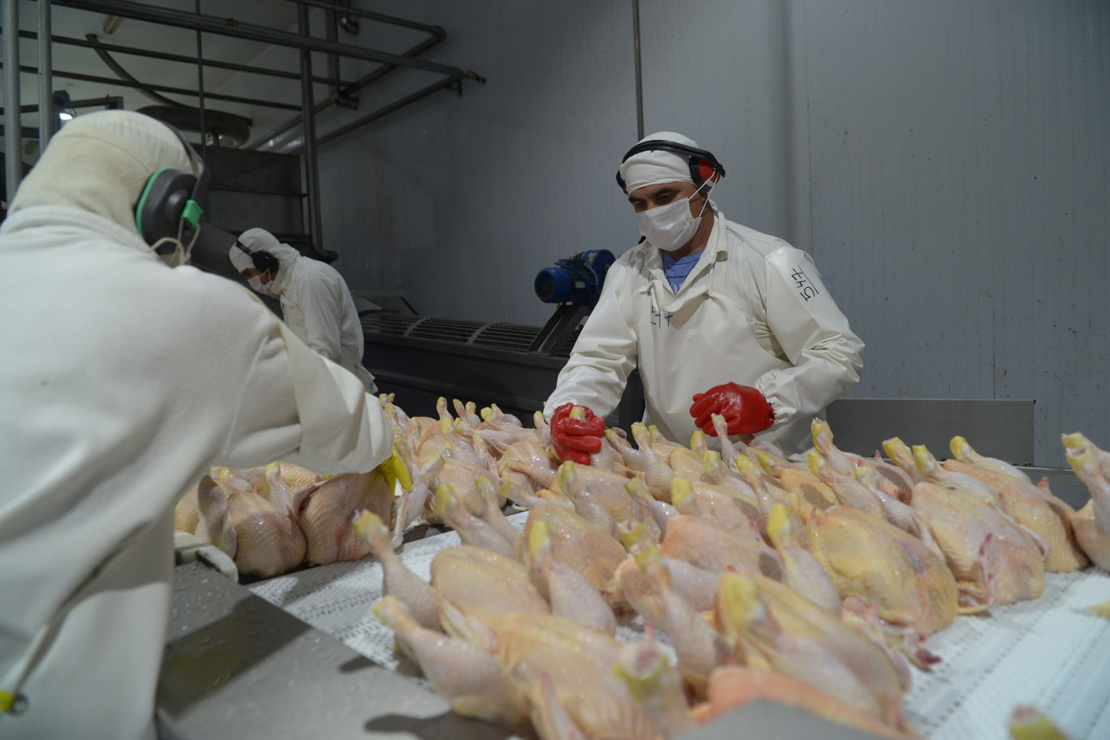 El Gobierno logró la reapertura del mercado de la Unión Europea para exportar carne aviar