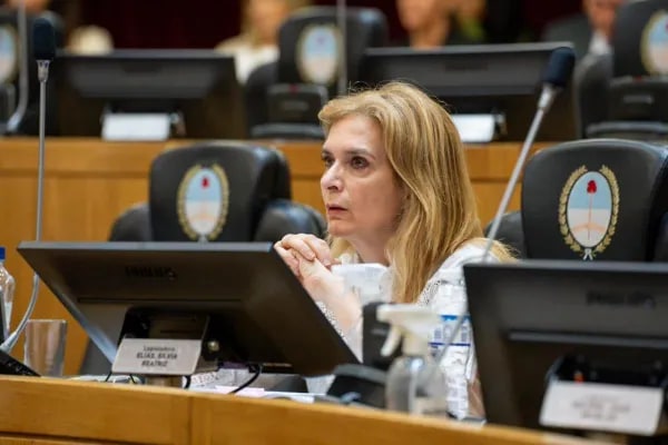 silvia elias de perez 2.webp silvia elias de perez 2.webp