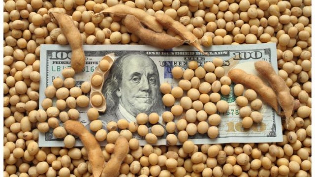 La liquidación de divisas del agro cayó 3% en julio y acumula una baja interanual del 16% en 2026