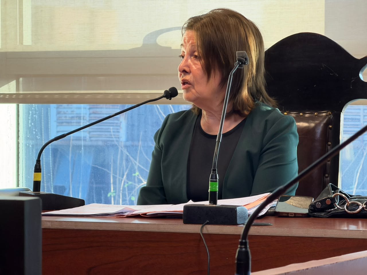 La fiscal del caso Lebbos reveló por qué decidió no acusar a Virginia Mercado