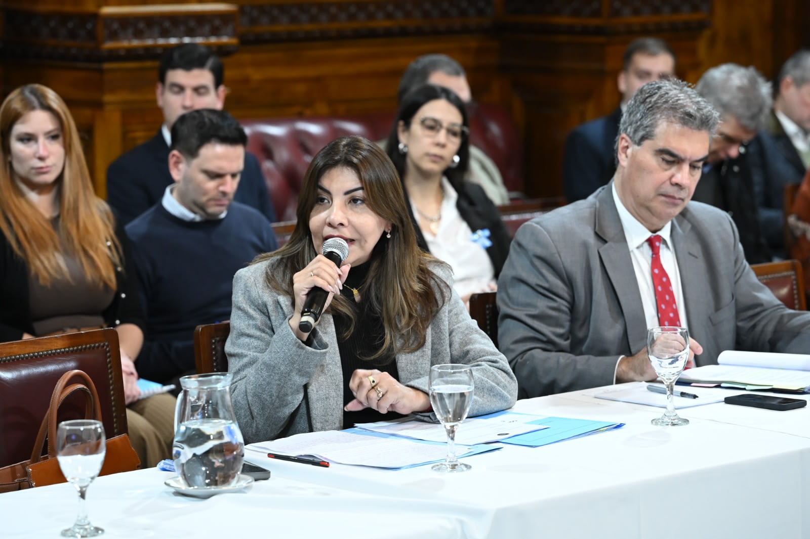 El Senado dio un primer aval al proyecto de Sandra Mendoza para declarar Héroe Nacional a Bernabé Aráoz