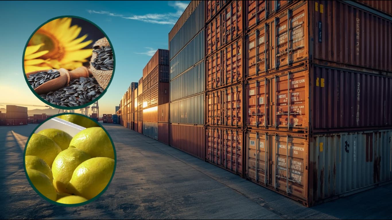 Las exportaciones a Europa registran un fuerte crecimiento en el primer semestre de 2026