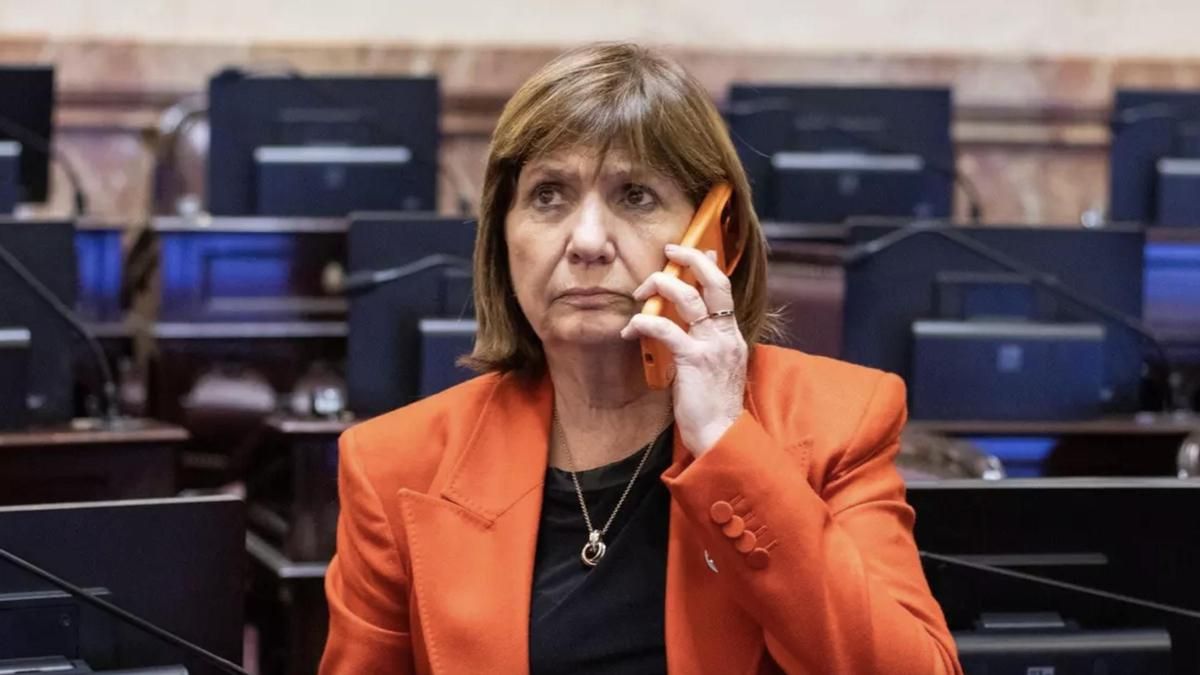 A horas de su tratamiento, Bullrich respaldó una vez más la Ley de Propiedad Privada