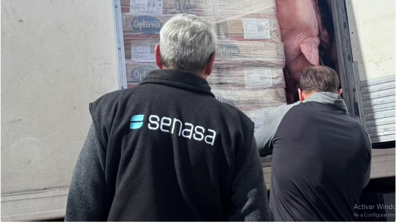 Detectan graves irregularidades sanitarias y destruyen toneladas de alimentos en rutas tucumanas