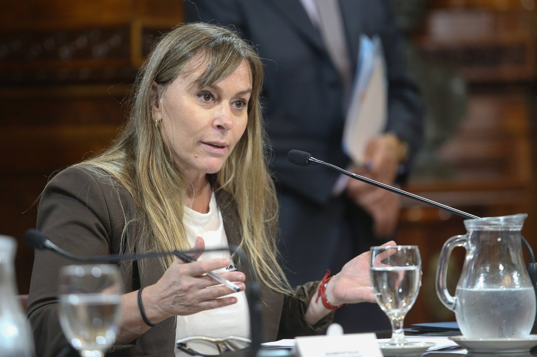 Di Tullio celebró los cambios en la Ley de Propiedad Privada con un mensaje que aludió a Sergio Massa