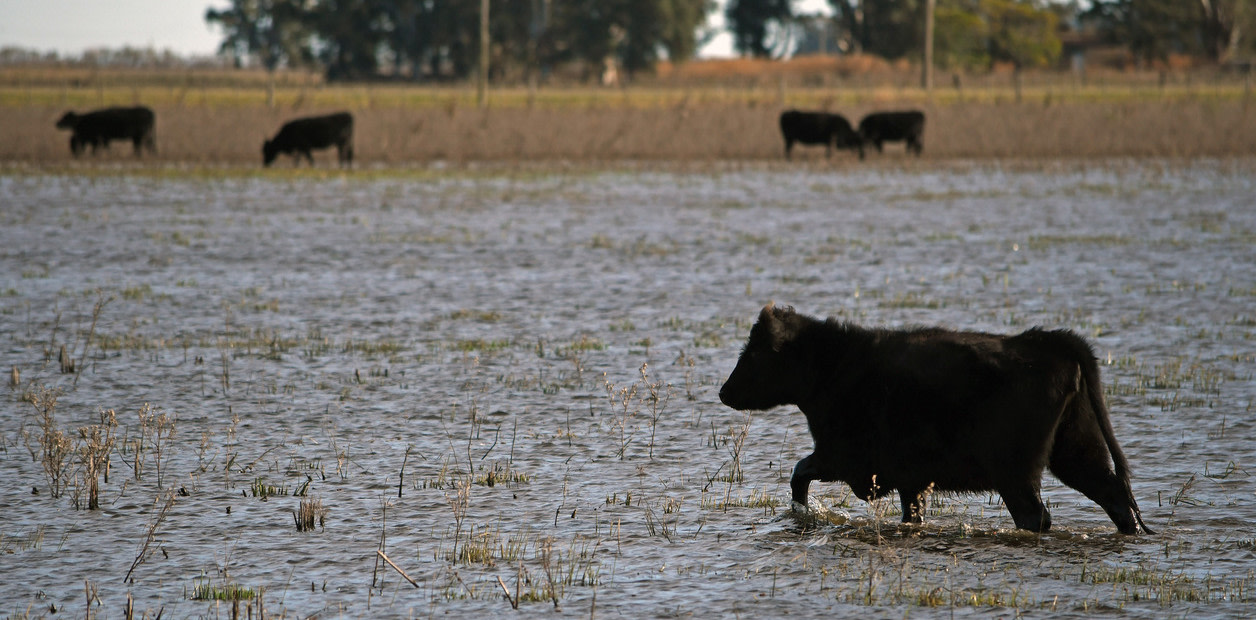 El Niño vuelve a encender alertas y CRA reclama anticipar medidas para los productores