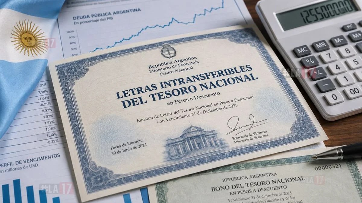 El Gobierno recompró al Banco Central Letras Intransferibles por US$781 millones