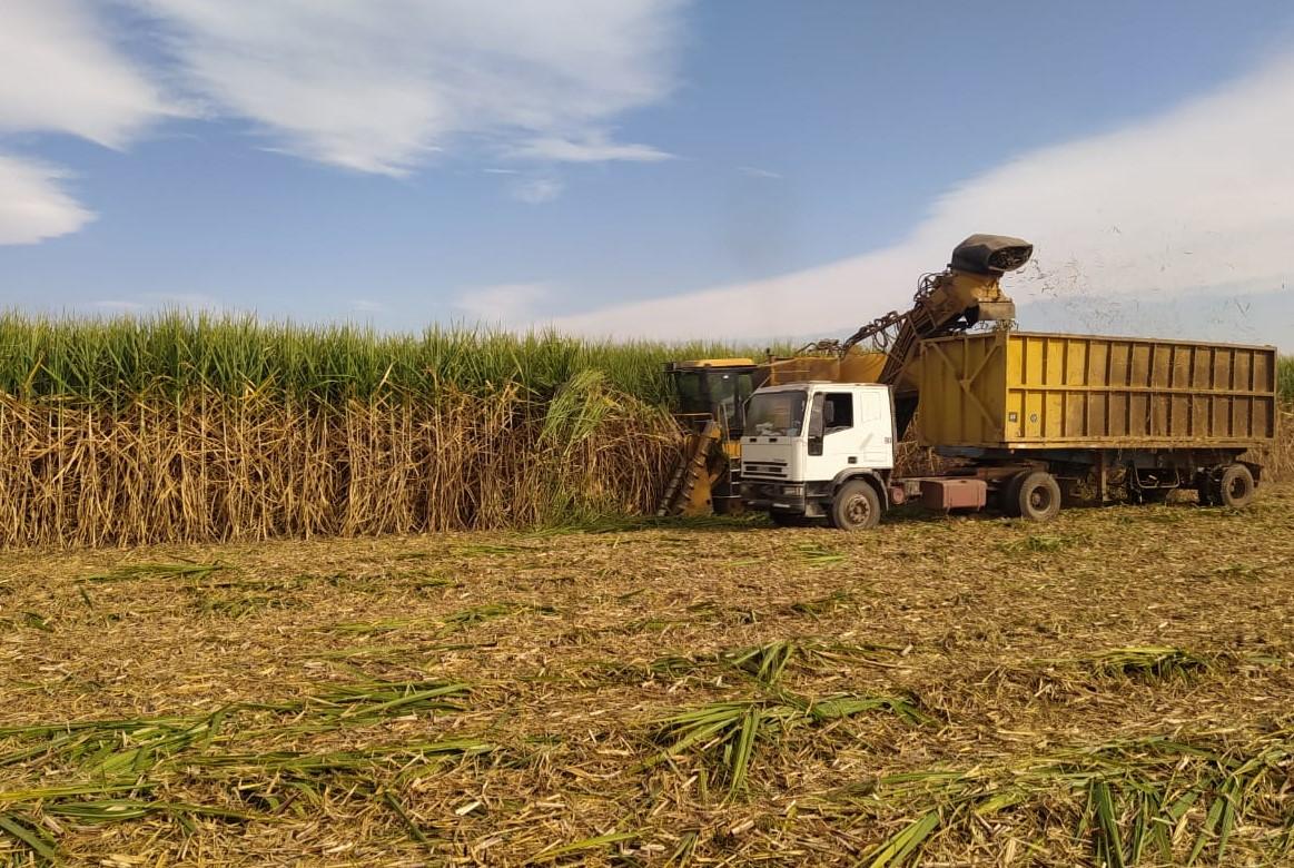 Tucumán cumplió 100 días de zafra y la molienda se acerca a los 8 millones de toneladas
