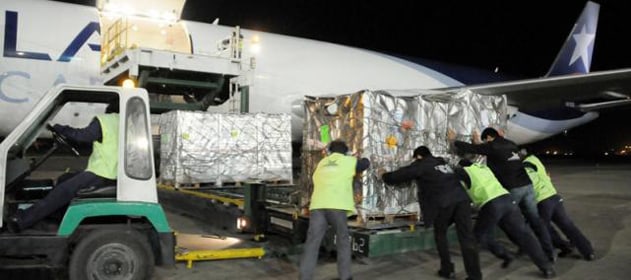 exportacione noa.jpg