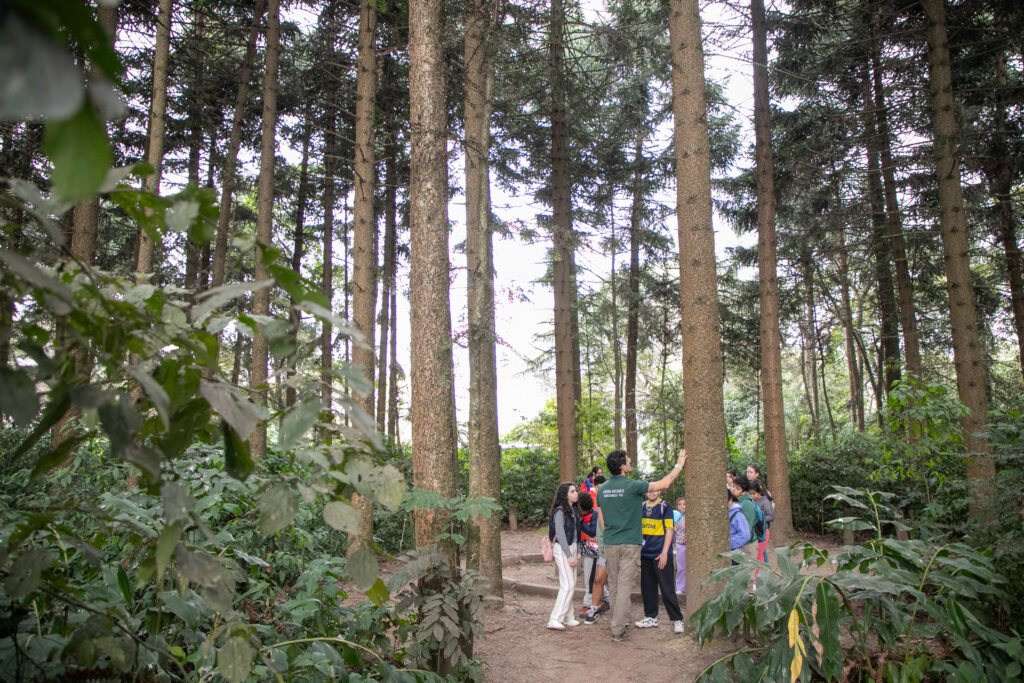 Propuestas para un sábado al aire libre con dos actividades gratuitas para toda la familia
