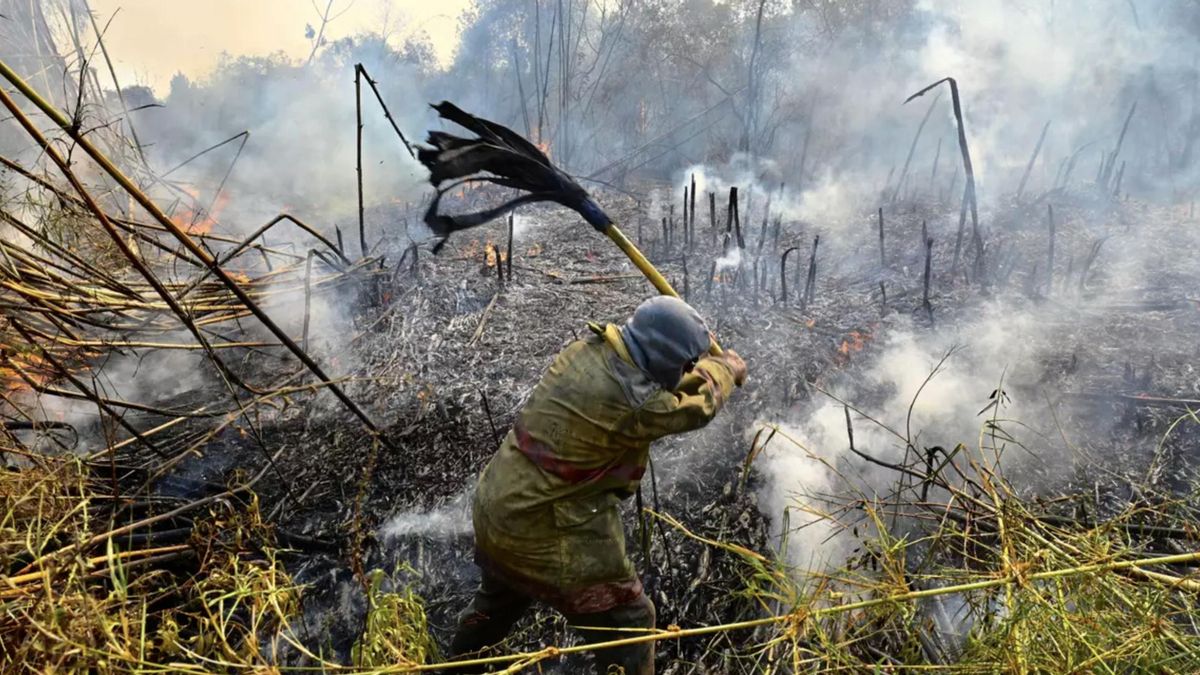 Día Mundial de la Prevención de Incendios Forestales: la importancia de cuidar los ecosistemas