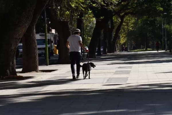 Jueves sin lluvias: cómo estará el tiempo durante la jornada en San Miguel de Tucumán