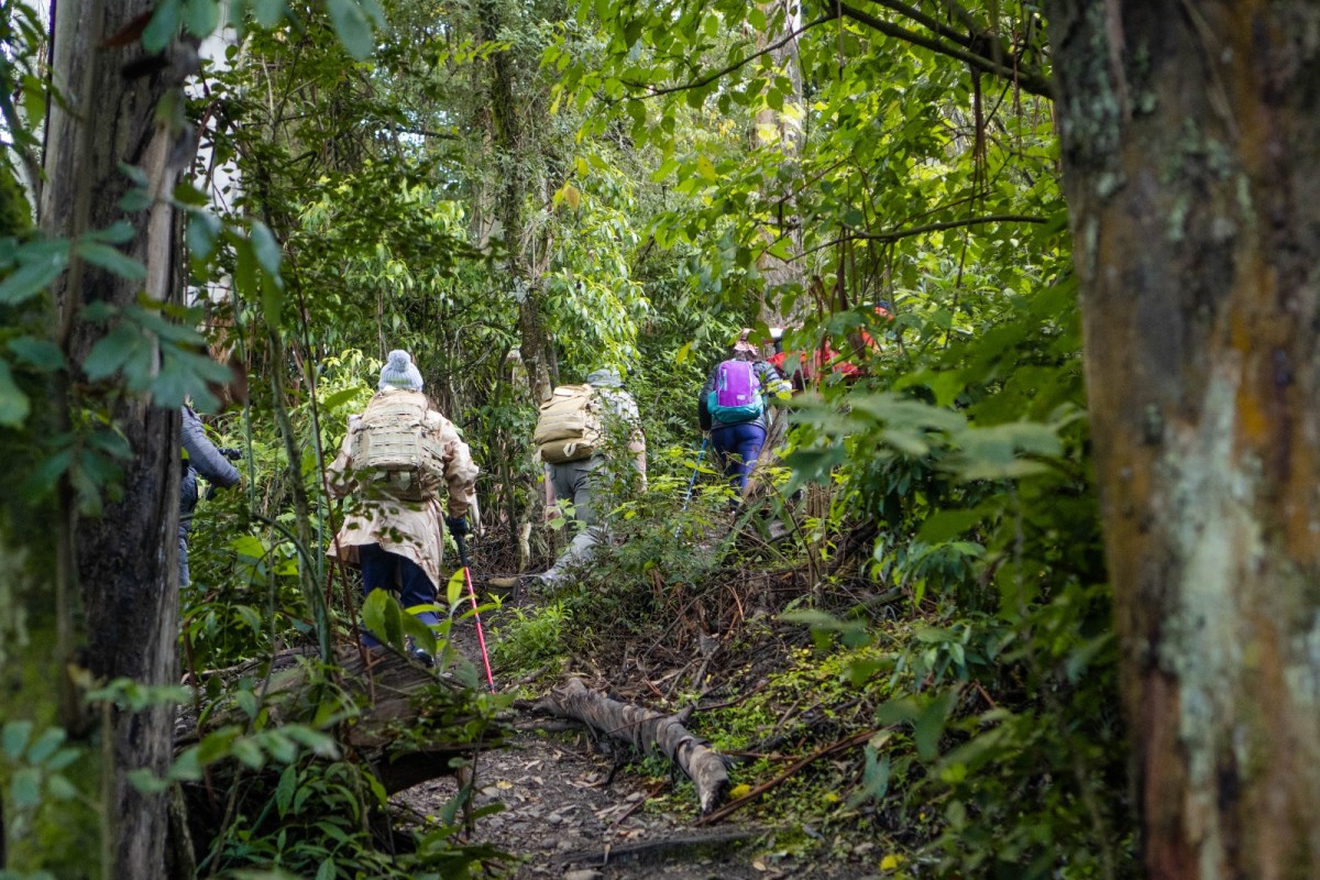 ecoturismo.jpeg