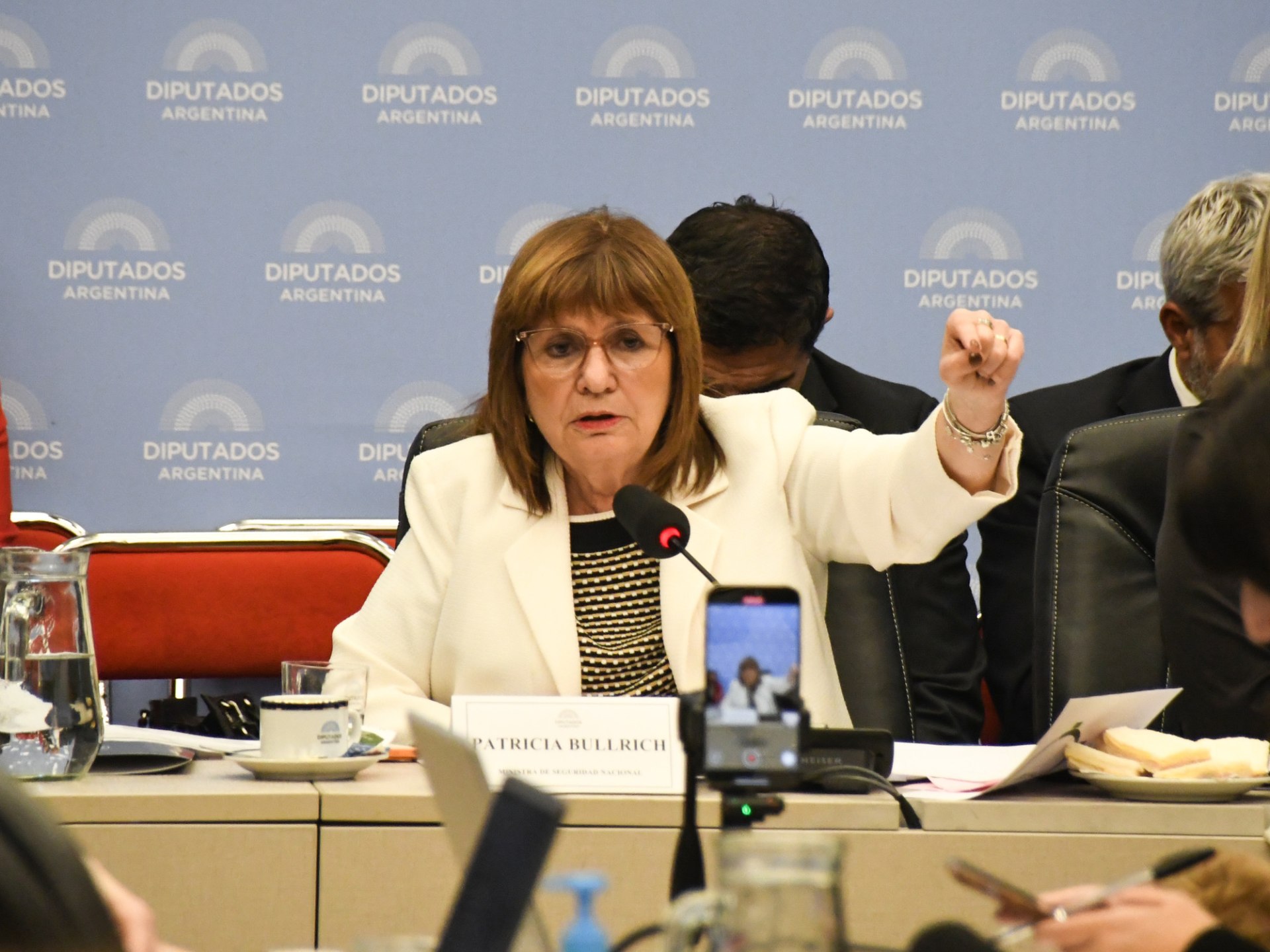 Patricia Bullrich quiere reactivar el Senado de la Nación  la Ley de Salud Mental