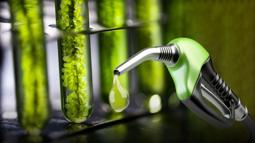 Fijaron los precios de septiembre para el bioetanol de caña y maíz
