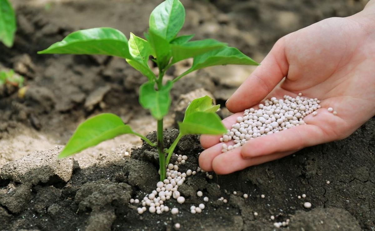 Retenciones y fertilizantes: una ecuación que no cierra, según APRONOR