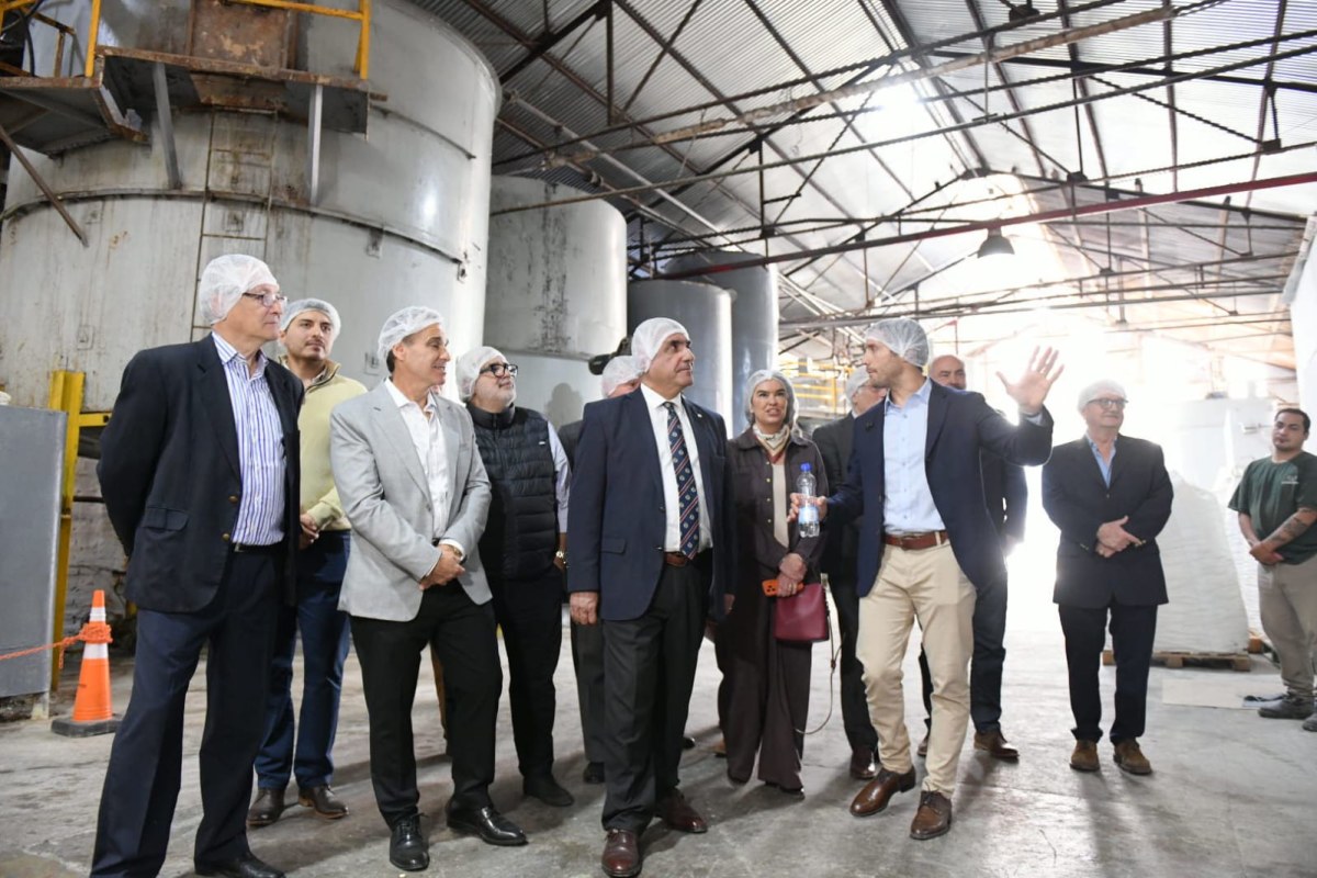 abad industria.jpeg