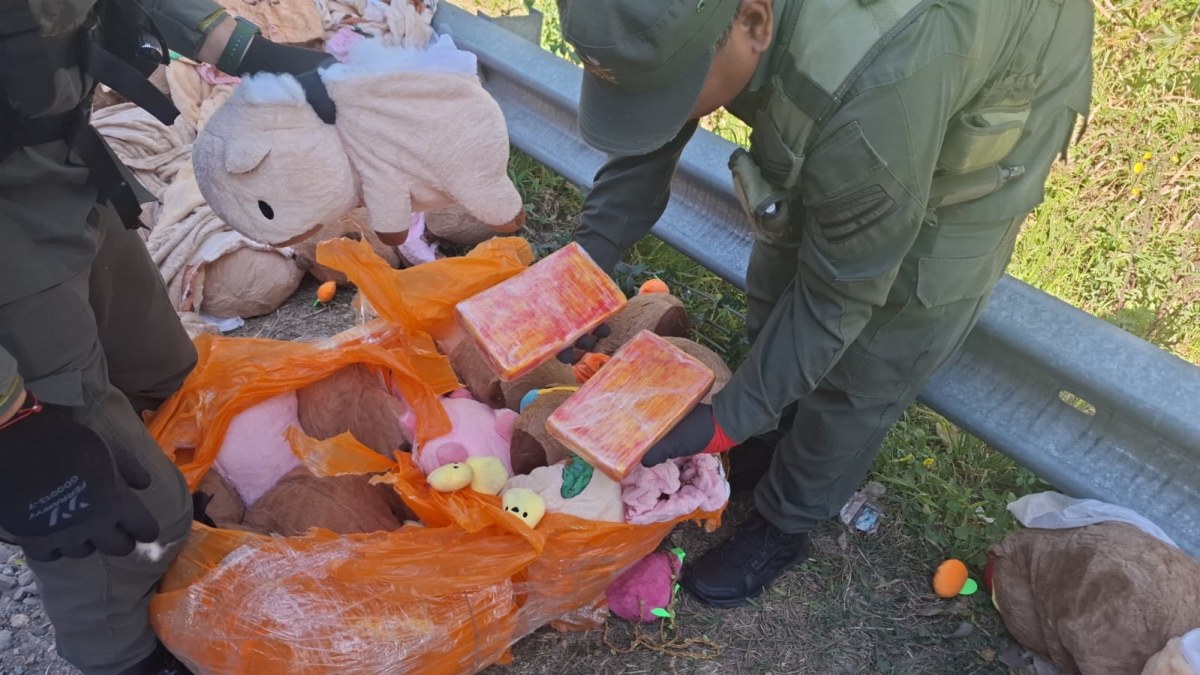 esconden_49_kilos_de_marihuana_y_4_kilos_de_cocaina_en_capibaras_de_peluches_1.jpeg