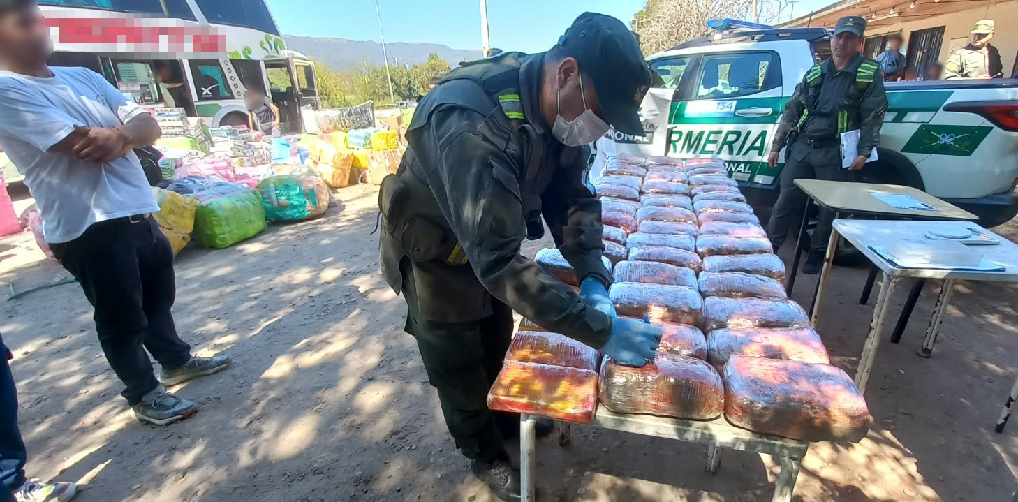 Decomisan marihuana y cocaína escondidas en capibaras de peluche durante un control vehicular