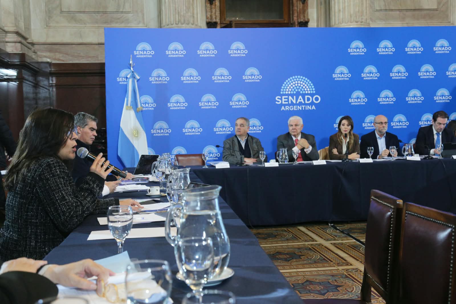 La industria sucroalcoholera respaldó la nueva Ley de Biocombustibles y pidió al Congreso una rápida sanción