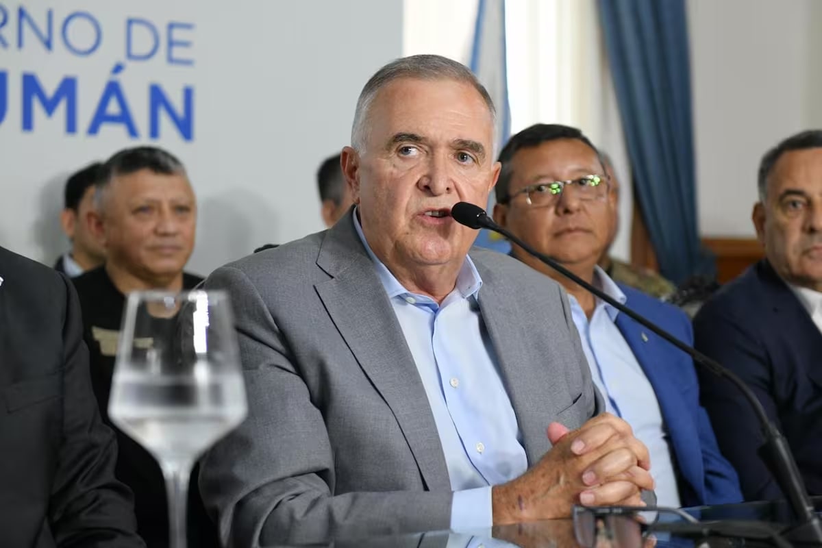 Jaldo afirmó que Tucumán está listo para aplicar la baja de la edad de imputabilidad