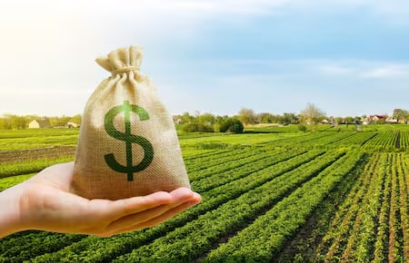 El campo proyecta exportaciones por U$S 50.000 millones