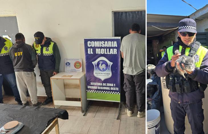 Decomisaron 15 chinchillas y secuestraron cocaína durante controles vehiculares realizados en El Mollar