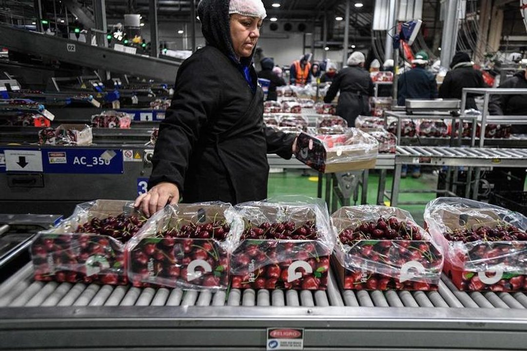 Chile puso en marcha un acuerdo con China para facilitar las exportaciones de fruta fresca
