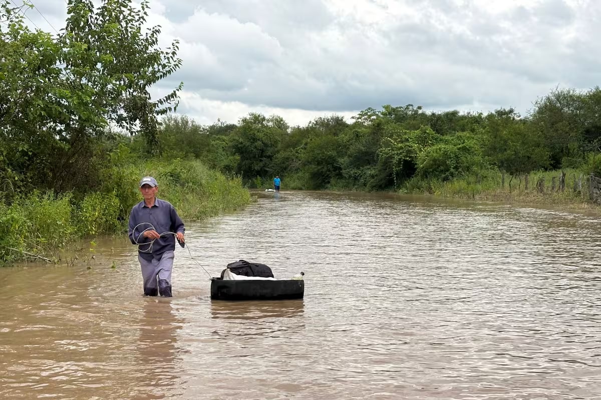 El Niño en Tucumán: alertan por un verano con exceso de lluvias y piden extremar las medidas de prevención