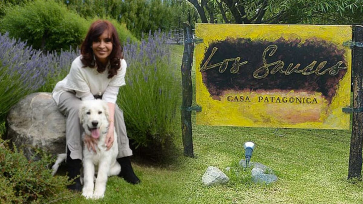 cristina-kirchner-y-los-sauces-su-empresa-que-investiga-la-justicia-AYBRYIPXKFFI5NIPVKSBTB7Z3E.avif