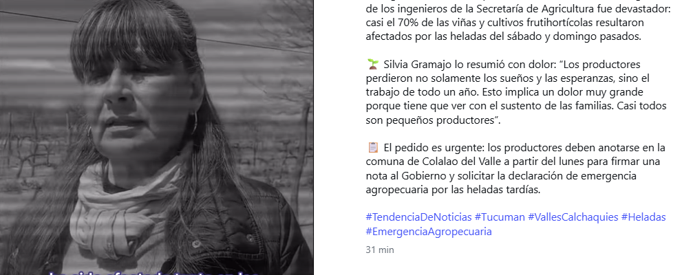 A post shared by TENDENCIA DE NOTICIAS (@tdn_noticias)