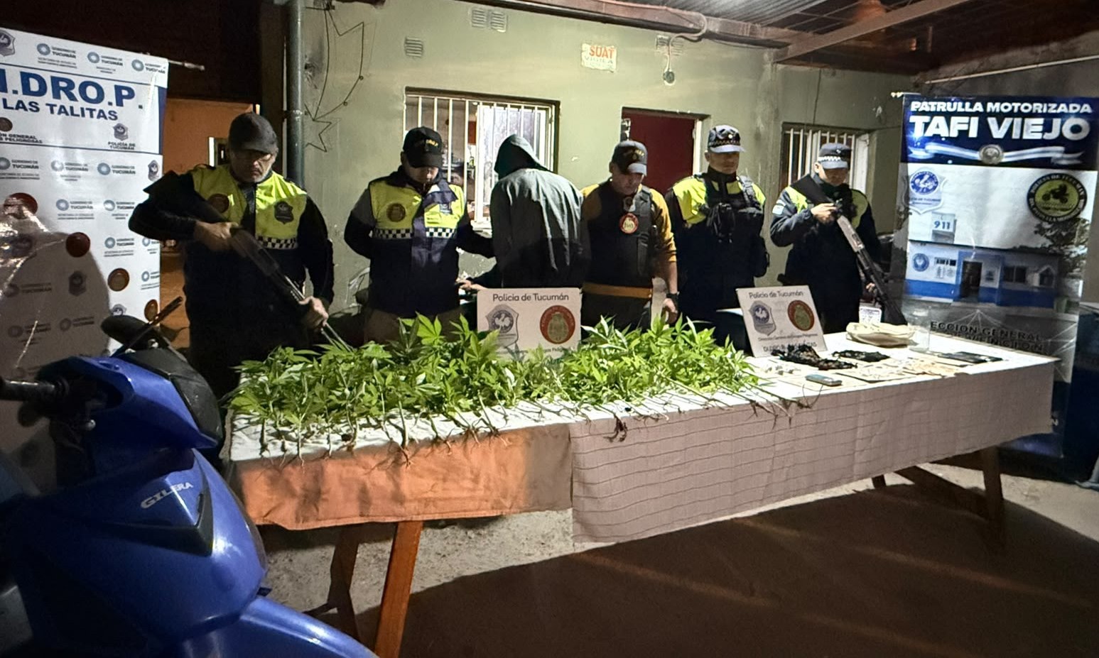 Descubrieron una plantación de marihuana tras una cinematográfica persecución 