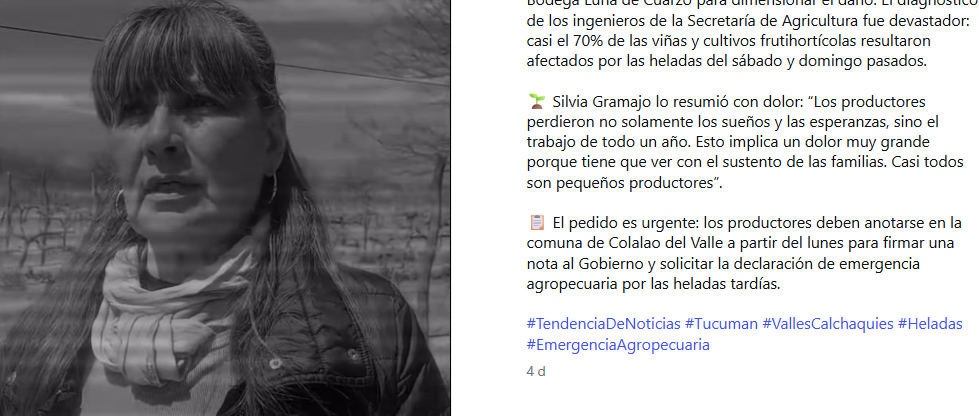 A post shared by TENDENCIA DE NOTICIAS (@tdn_noticias)