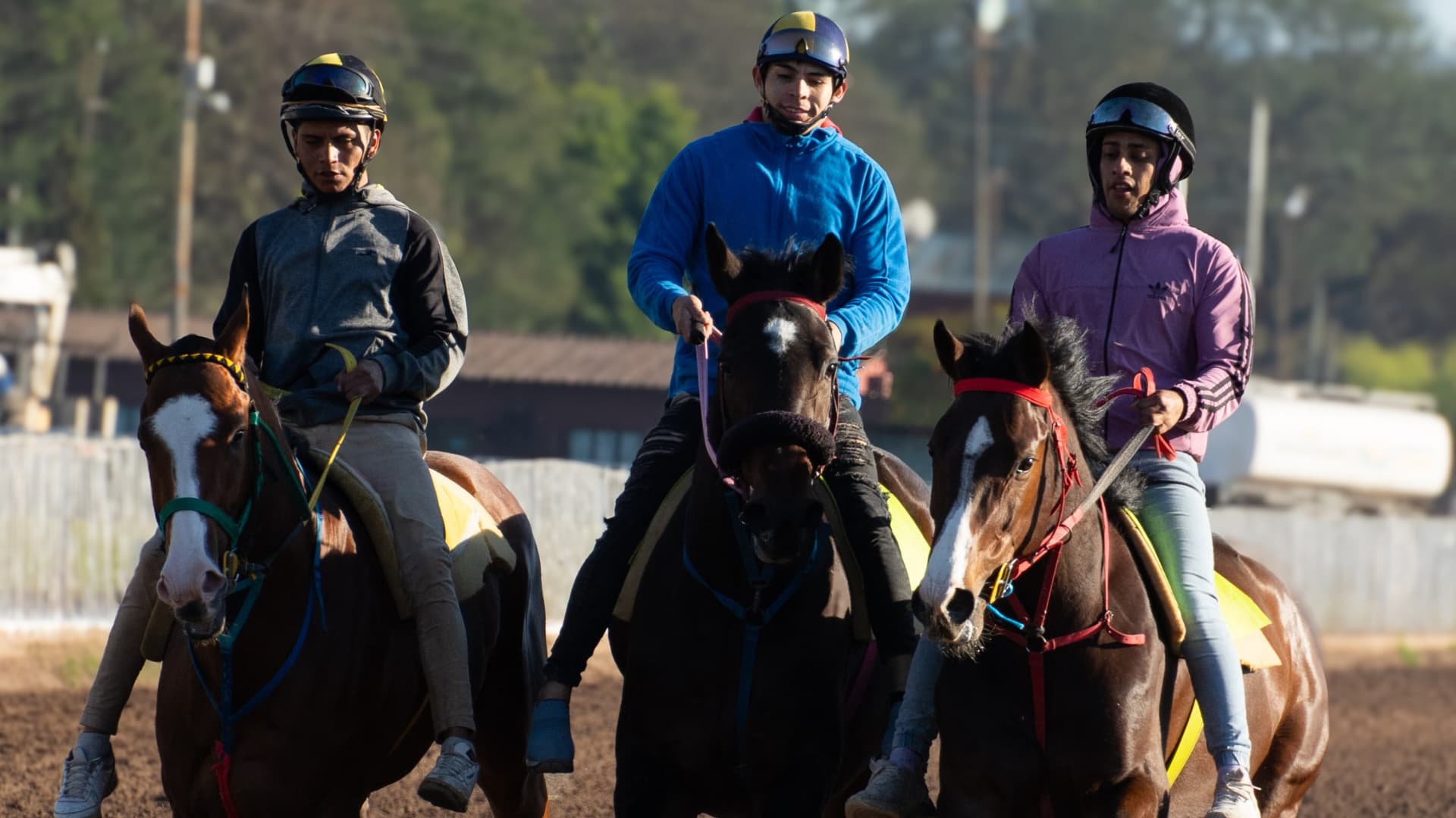 Trece caballos y 2.200 metros: el Hipódromo abre sus puertas al Gran Premio Batalla de Tucumán