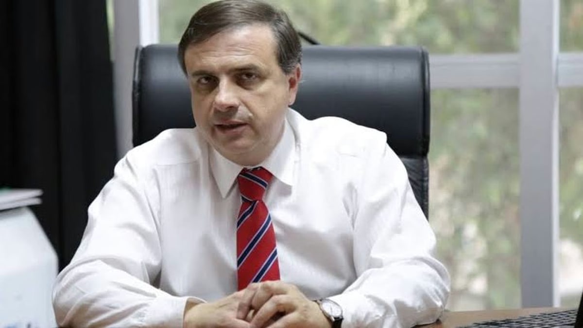 Tras los graves ataques en Tucumán, un diputado pidió agravar las penas por negligencia para los dueños de perros