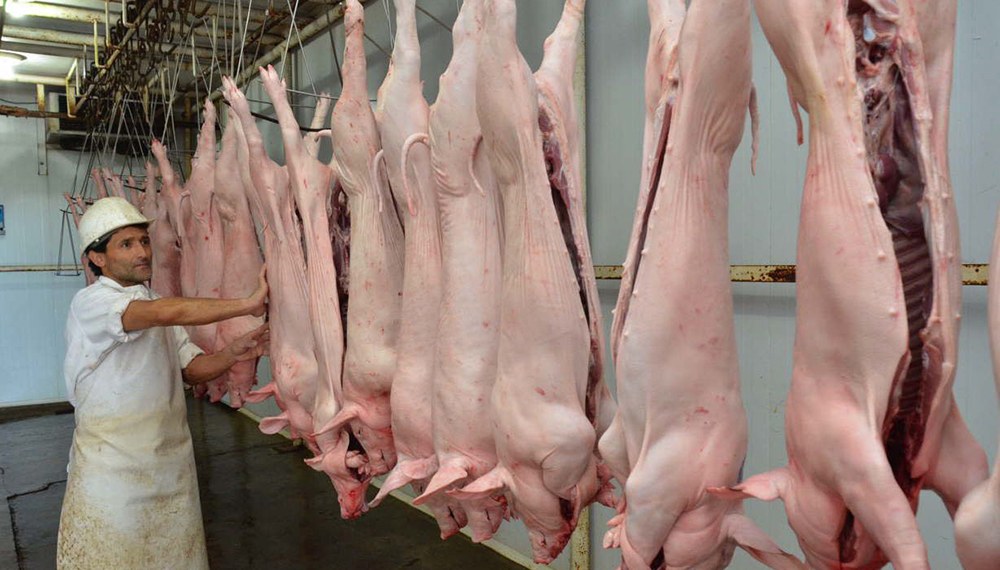 La producción de carne de cerdo creció 12,4% en los primeros ocho meses del año