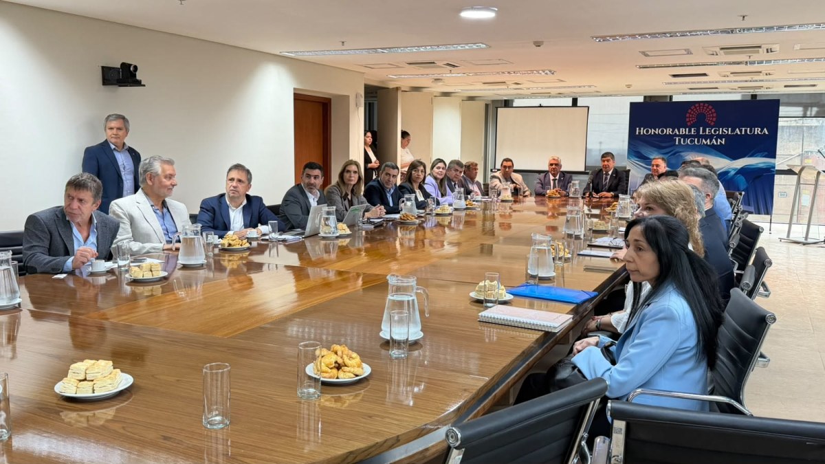 El Gobierno de Tucumán pidió ampliar el Presupuesto 2026.jpg