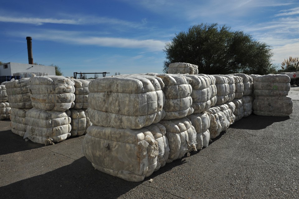 La lana argentina generó USD 189,6 millones y arrancó otra zafra en crecimiento