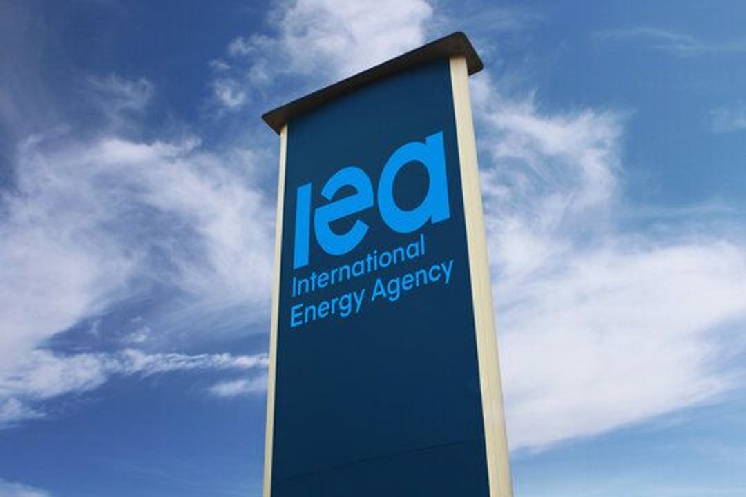 La Agencia Internacional de Energía destacó el potencial de la Argentina como proveedor energético global