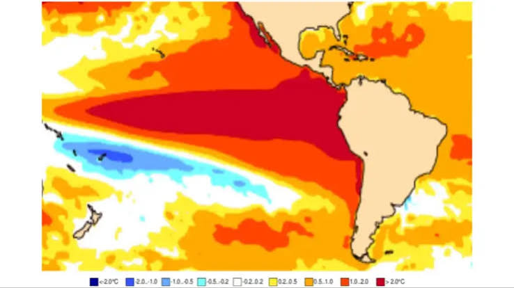EL NIÑO AMERICA.jfif