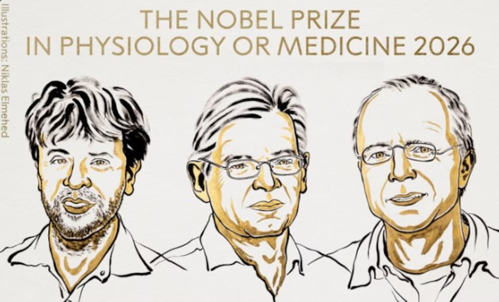 Nobel de Medicina 2026 para tres científicos que revolucionaron el estudio del cerebro con la optogenética