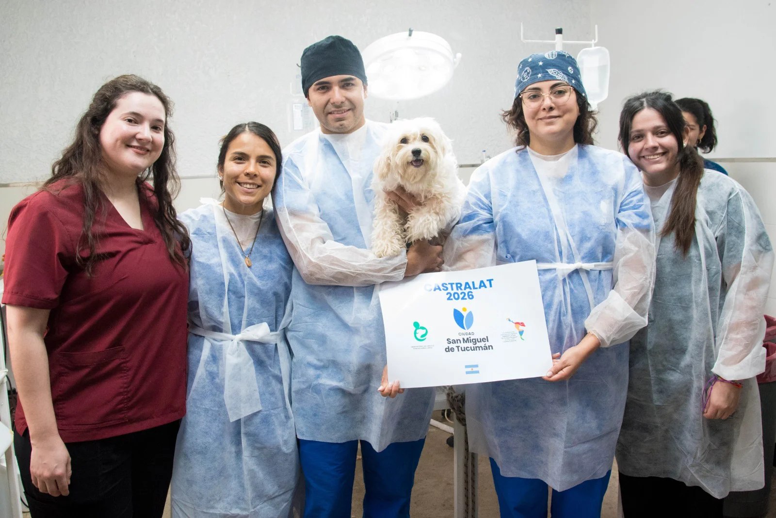 La capital tucumana participó de la campaña internacional Castralat con cirugías gratuitas para mascotas