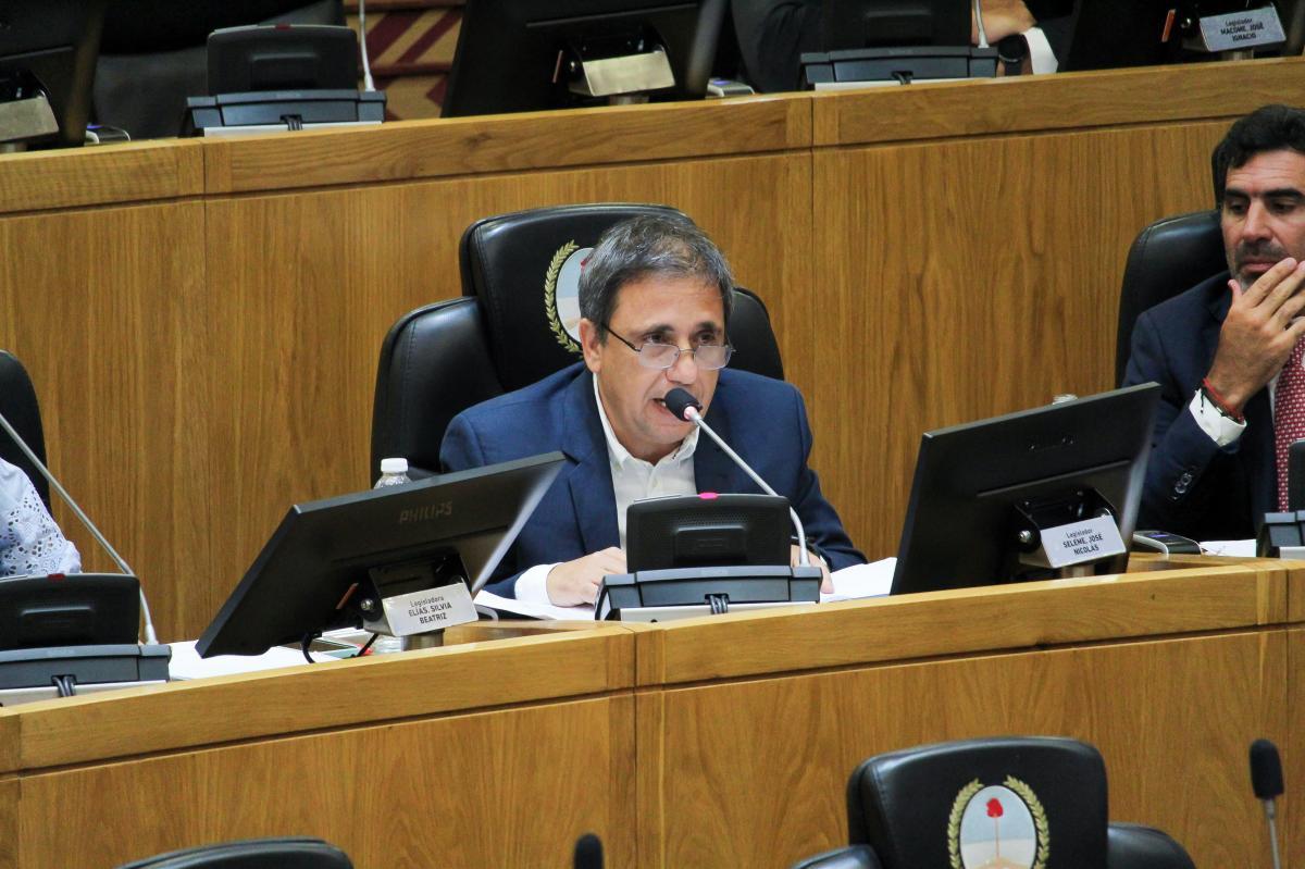Legislador José Seleme.jpeg